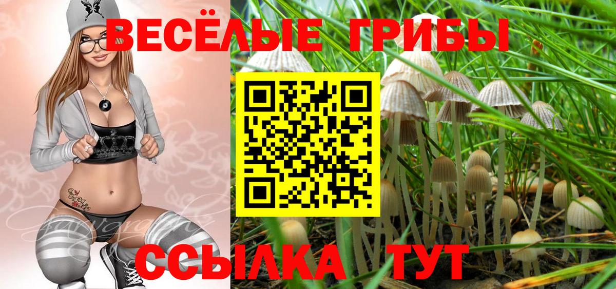 Галлюциногенные грибы Psilocybine cubensis  Вход с VPN  Галлюциногенные грибы мицелий  Саяногорск 