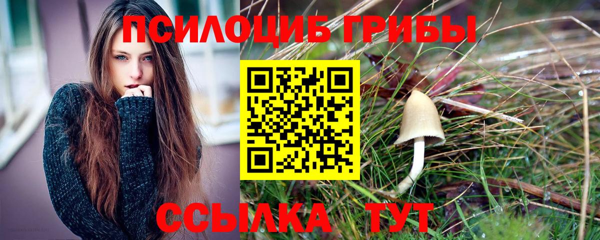 Псилоцибиновые грибы MAGIC MUSHROOMS Саяногорск